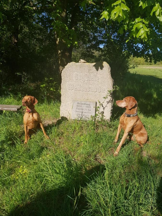 Ferienhaeuser Oberdorla Exteriör bild