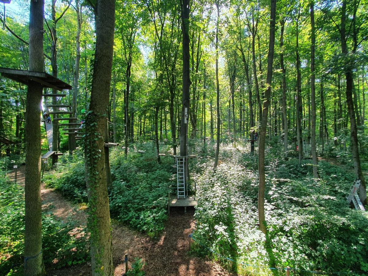 Ferienhaeuser Oberdorla Exteriör bild